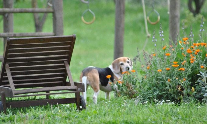 Radicondoli House | Romantic hideout in beautiful surroundings