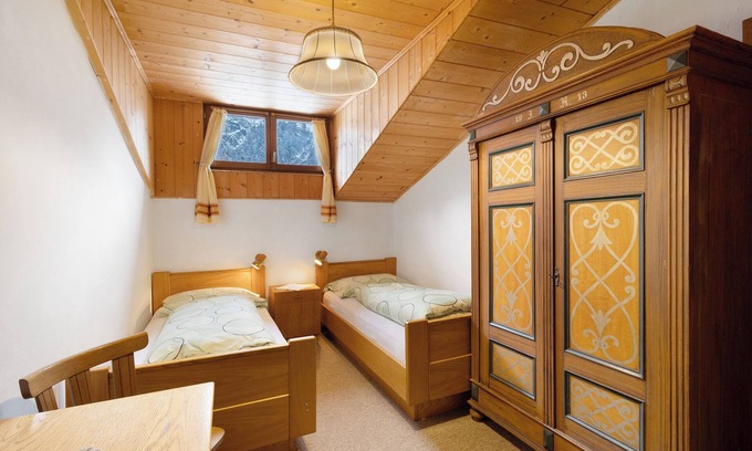 Val di Vizze Apartment | Room 'Bartlhof Pletzenspitz' with Mountain View, Shared Terrace and Wi-Fi