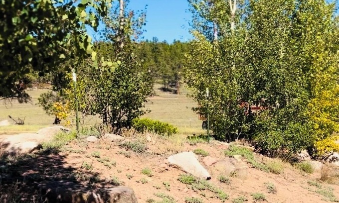 Lake George Cabin | Room for Everyone: Sleeps up to 12 people with comfy bunk beds and plenty of space.