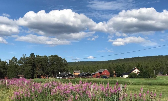 Galaa Other | Roste Hyttetun og Camping