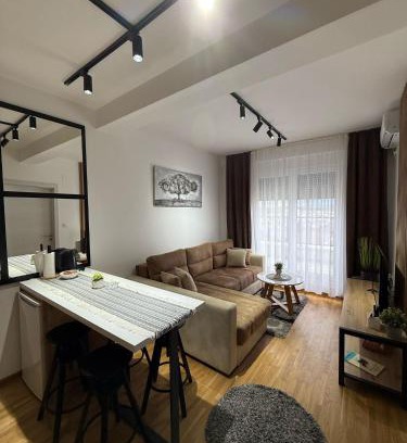 Vrnjacka Banja Apartment | Royal apartmani Vrnjačka Banja
