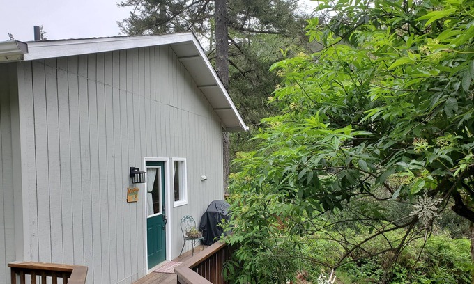 Brookings Cabin | Rustic Lodge - Tree House Cabin in the Mountains of Brookings