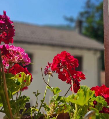 Alme House | Rustico Leonardo - la dolce vita italiana