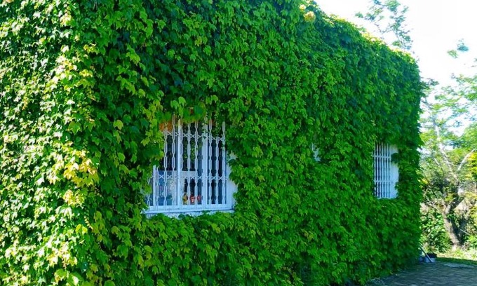 Sapiranga House | Sítio Sapiranga