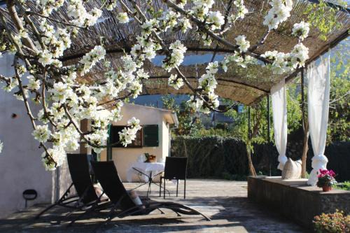 Soller House | Sóller Relax II, cozy and rural apartment