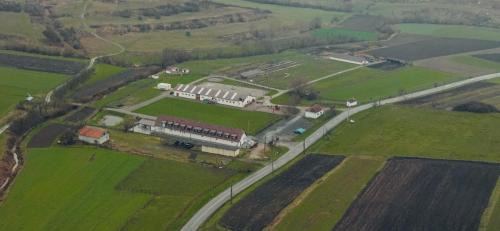 Sacel House | Sólyom Major - Gut Falkenhof