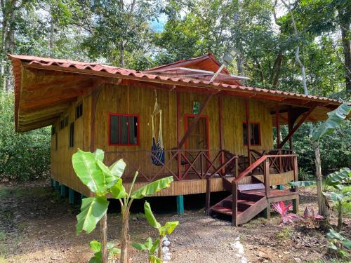 Sierpe Cabin | Sabalo Lodge Tours and Cabins
