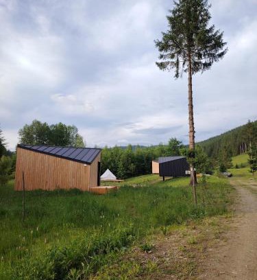 Borca Other | Sabasa Forest Retreat