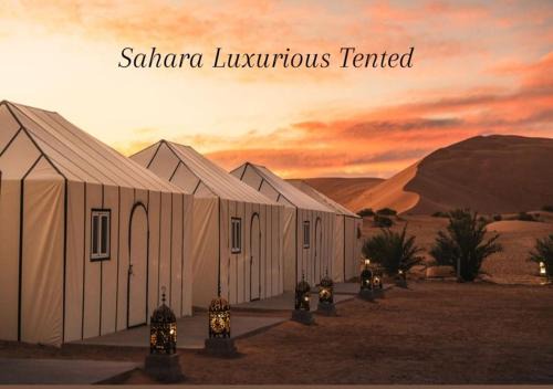 Merzouga Other | Sahara Luxurious Tented