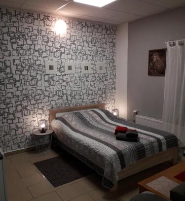 Ciechanow Apartment | Samodzielny domek Studio - 35m2 centrum Ciechanów