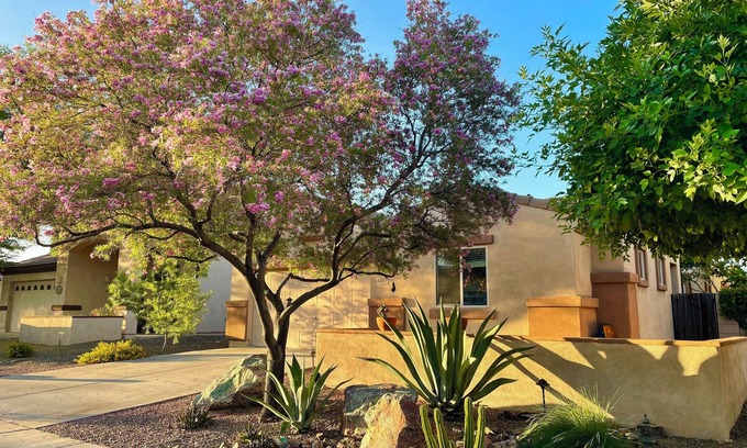 Rancho Vistoso House | Sanctuary home in Oro Valley!