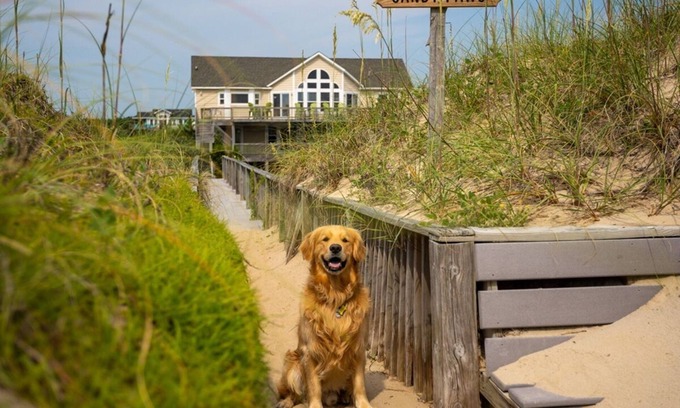 Carova Beach House | SANDY PAWS: FREE POOL HEAT for open fall weeks! OCEANFRONT- Elevator-4x4