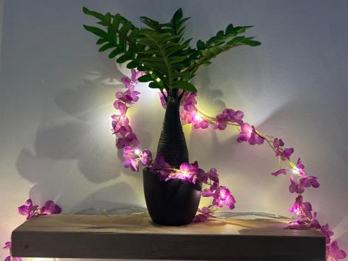 Ejipura Apartment | SB Legacy Fireflies Swarm