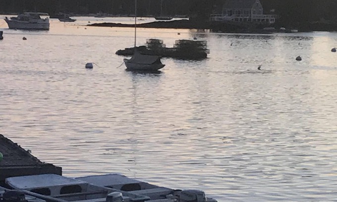 Boothbay Harbor House | Scenic water view II ð
walking distance to restaurants shopping and boat excursions ! No car necessary !