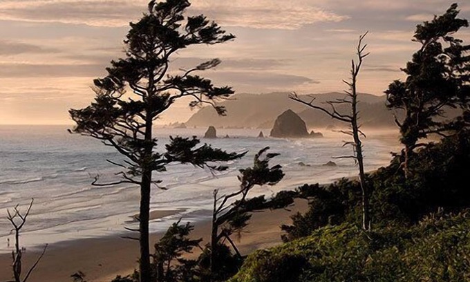 Tolovana Park Cabin | Sea Sprite at Haystack Rock
