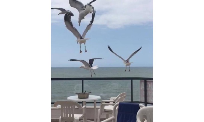 Itapema House | Seafront Penthouse 04 Bedrooms Pool Table Gourmet Area Seafront Terrace