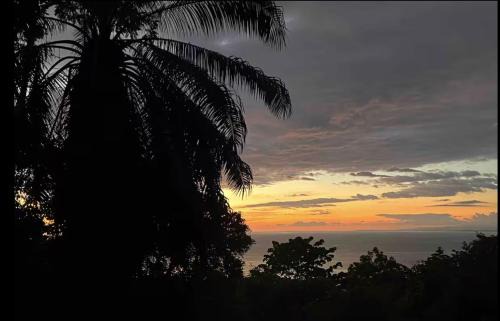 Manuel Antonio Bed & Breakfast | Seaview studio's, free breakfast & park tour