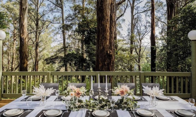 Sassafras Cabin | Seednest Treehouse | Forest & Mountain View