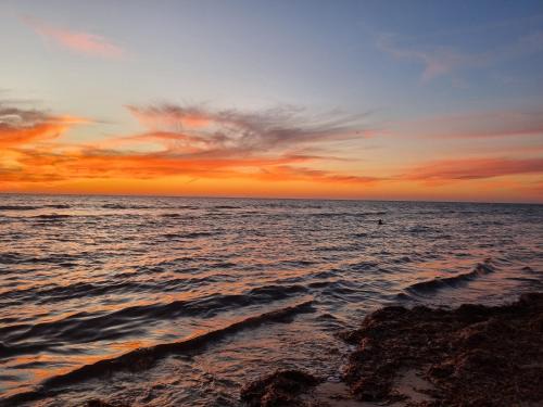 Semaphore Park Apartment | Semaphore beachfront
