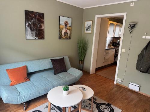 Alesund Apartment | Sentralt leilighet