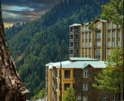 Khaira Gali Apartment | Serenity Hilltop Apartments