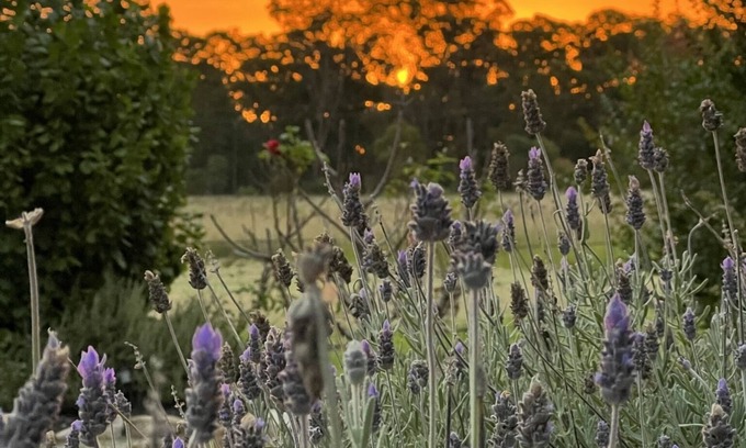 Fleurbaix Cottage | Serenity on Stanthorpe