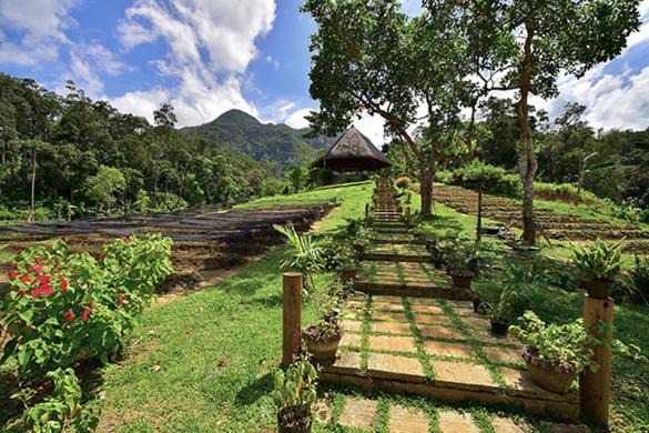 Puerto Princesa House | Sheridan Organic Farm and Resort