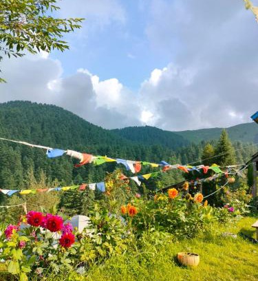 Patnitop Other | Shiva Cafe and Stays