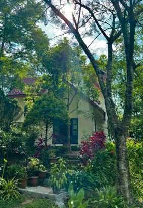 Kuttikkanam Apartment | Silver oaks plantation cottage