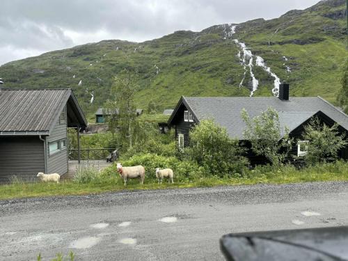 Roldal Apartment | Ski in ski out mountain apartment