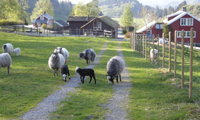 Osteroy House | Skjerping gård