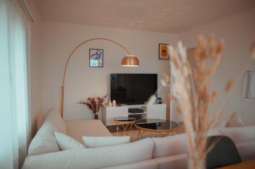 Widen Apartment | Sky Paradise 20min to zurich city centre