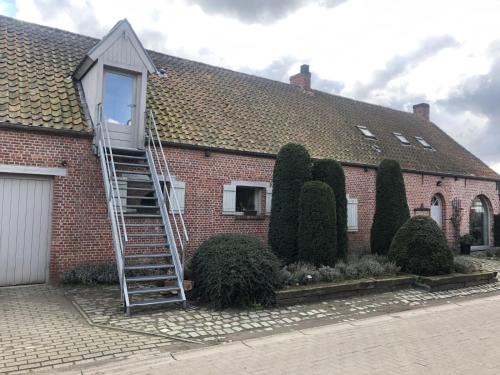 Vlimmeren Apartment | slapen bij alpacas
