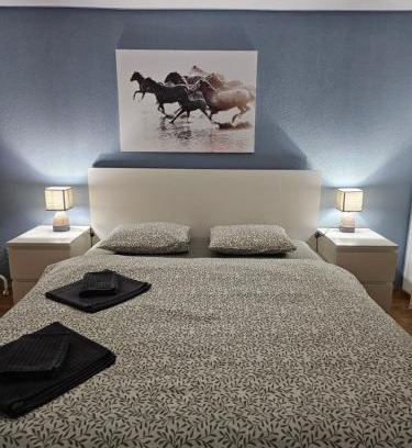 Goeschenen Apartment | Sleep here