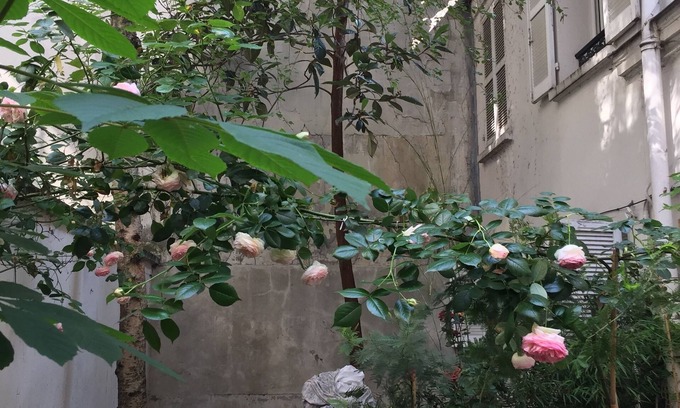 7th Arrondissement House | Small house, completely reniewed, at the back of a silent yard, with trees.