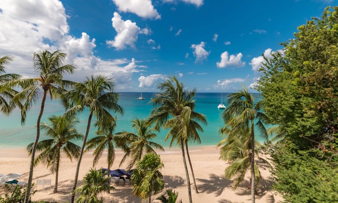 Old Trees Bay Villa | Smugglers Cove 6 (4 bed): Beachfront condo