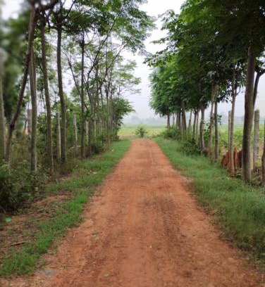 Chikkaballapur House | SNS Organic Farm Stay