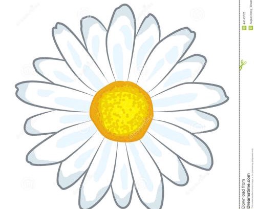 Aguas de Lindoia House | Solar da alegria (Pet friendly)