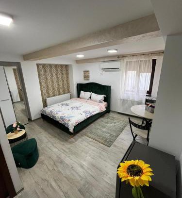 Galati Apartment | Solaria Studio