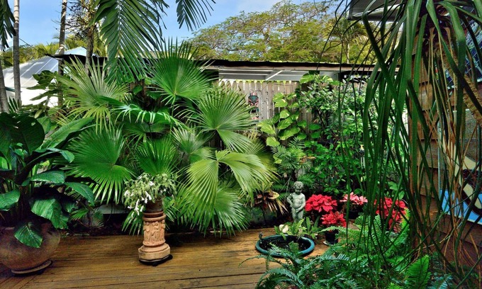 Key West Historic District House | ~ SOLARIS PAIR-A-DISE ~ A garden lover’s dream on a quiet Key West lane.