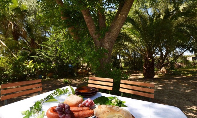 Sineu Villa | Son Palanca with Private Pool & Gardens