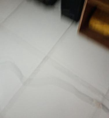 Salvador House | Sooll