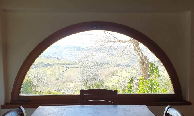 Panzano in Chianti Apartment | Spacious Apartment La Colonna overlooking Chianti Classico vineyards