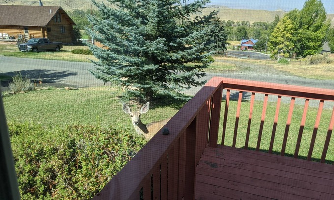 Meeteetse House | Splendid Absaroka Mountain and Greybull River View