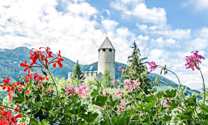 Campo di Trens Apartment | Sprechenstein