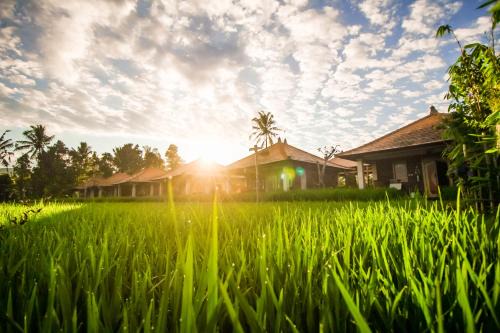 Banjartegehe Villa | Sri Lestari Banyuatis