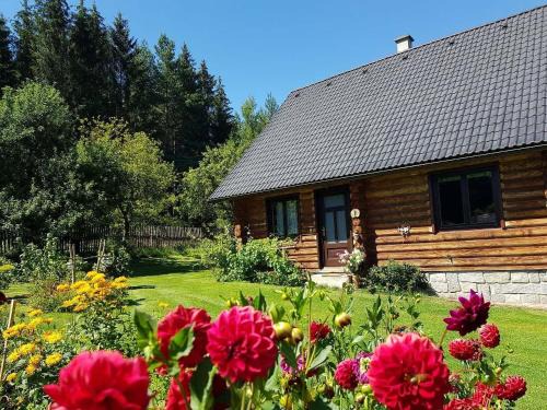 Vlceves House | Srub Karpatský