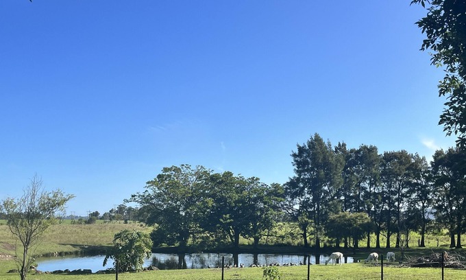 Little Forest Cabin | Stay 5 mins from Milton in a new private farm stay cabin