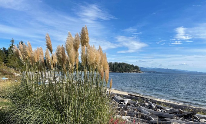 Brew Bay Cottage | Staycation Cottage with your private beach