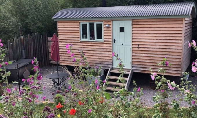 Sampford Brett Cabin | Steam & Stars Luxury Glamping -Willow shepherd hut